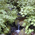 Mountain Stream